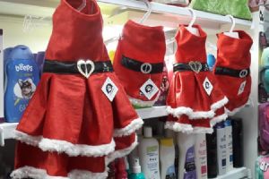 Loja de animais no Shopping Popular aposta nos acessrios de Natal para os bichinhos de estimao