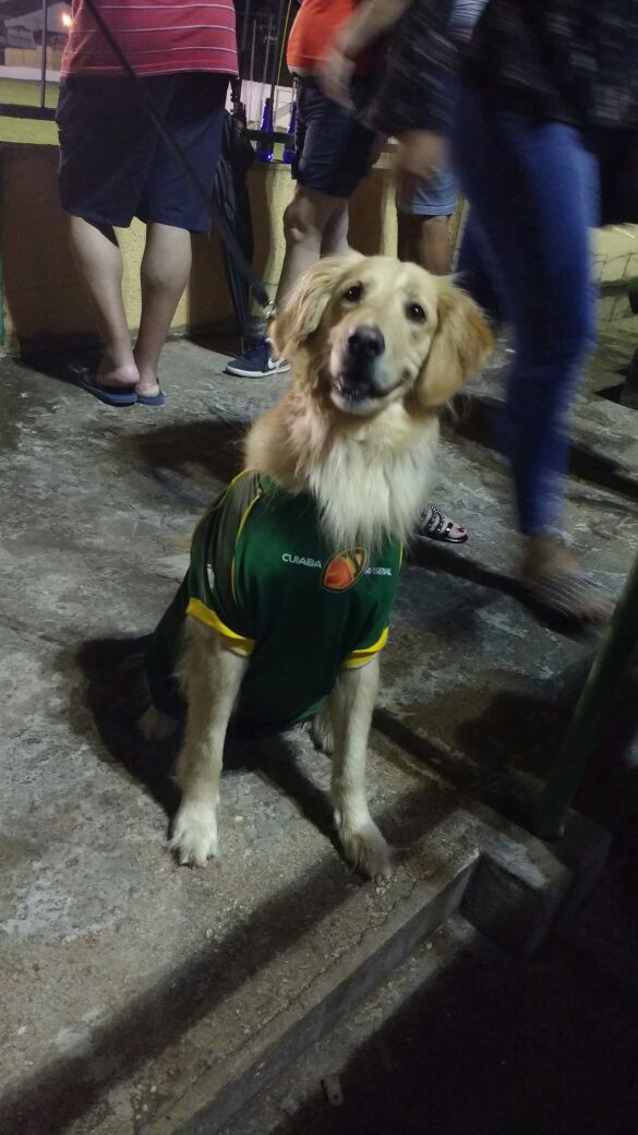 Cuiab� Arsenal estreia com vit�ria no campeonato estadual de Futebol Americano