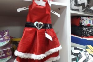 Loja de animais no Shopping Popular aposta nos acess�rios de Natal para os bichinhos de estima��o