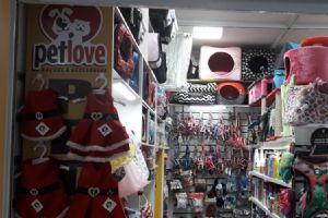 Loja de animais no Shopping Popular aposta nos acess�rios de Natal para os bichinhos de estima��o