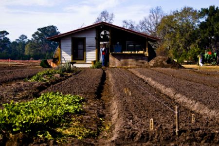 Brasil antecipa compromisso de reduzir emiss�es de CO�