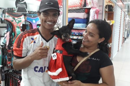 Loja de animais no Shopping Popular aposta nos acess�rios de Natal para os bichinhos de estima��o