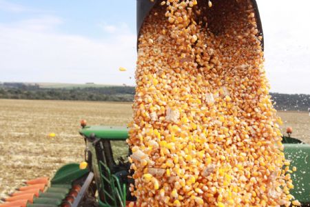 MT deve se manter na lideran�a como maior produtor de milho e soja pelos pr�ximos 10 anos