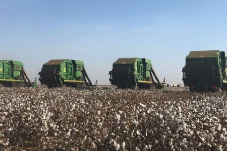 PIB da agropecu�ria cresce 0,7% no 3� trimestre