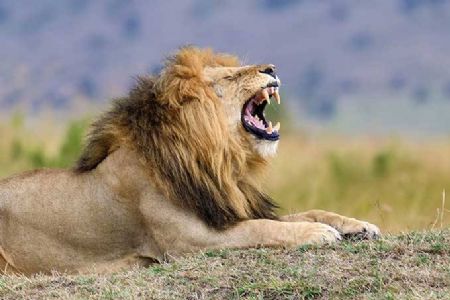 Receita paga hoje sexto lote de restitui��o do Imposto de Renda 2019