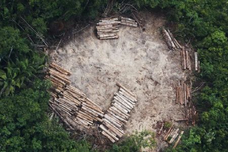 MT registra o maior �ndice de desmatamento da Amaz�nia nos �ltimos 10 anos