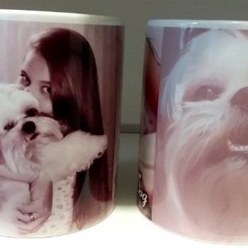 J. Brand�o Fotografias